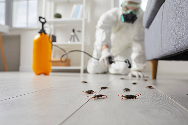 Commercial Kitchen Cockroach Control in Trumbull Center